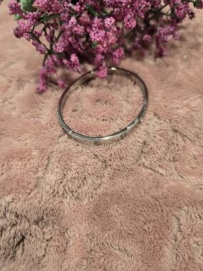 Sterling Silver-tone Women's Hinged Bangle Bracelet in Silver